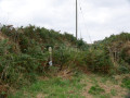 Access to footpath, overgrown Access to footpath, overgrown