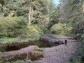 Access to the burn