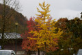 Parc naturel de la Seigneurie de Bertiz