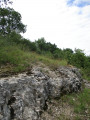 Affleurement rocheux Affleurement rocheux
