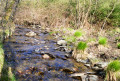 Le long de la Givonne et du Ruisseau des Fraichis