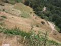 Exploitation agricole en Ardèche Exploitation agricole en Ardèche