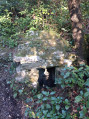 Fontaine de Vaucluse par l'Oppidum de Bondelon et l'Aqueduc de Galas