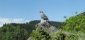 Aigle de pierre