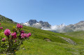 Aiguilles de l'Argentière