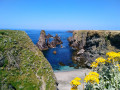 Aiguilles de Port Coton
