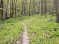 La vallée de l'Eaulne entre Sauchay et Envermeu La vallée de l'Eaulne entre Sauchay et Envermeu