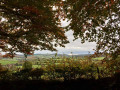 Aisholt Common from Cockercombe