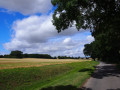 Alde Valley Walk - Sweffling to Badingham