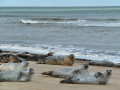 Happisburgh to Winterton Beach Walk