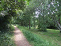 Allée boisée