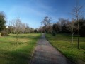 Allée dans les parcs