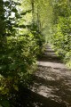 Allée de la Carperie