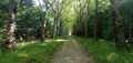 Von Roissy-en-Brie nach Ozoir-la-Ferrière durch den Wald von Ferrières De Roissy-en-Brie à Ozoir-la-Ferrière par la Forêt de Ferrières