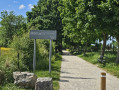 Allée de Montaigu