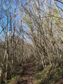 Chemin des Lébérous