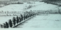 Allée de platanes de Damery gravure de 1887 Allée de platanes de Damery gravure de 1887