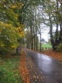 Parcours champêtre à Libramont-Chevigny