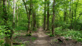 Boucle des bois de Saint-Martin et Célie - Château et étangs de Malnoue