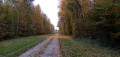 Allée en bordure du parc du Château de Baville