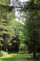Du château d'Azay-le-Ferron à la forêt de Preuilly Du château d'Azay-le-Ferron à la forêt de Preuilly