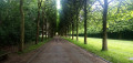 All&eacute;e ombrag&eacute;e