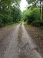 Allée