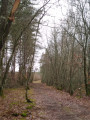Allée