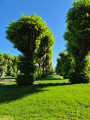 Le Bois de Morval par le village de Banthelu Le Bois de Morval par le village de Banthelu