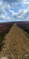 Burn Howe Rigg from Jugger Howes