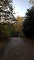 Along the path in Hill Wood