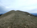 Miélandre du Col de Valouse