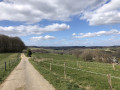 Alpakas, Böll und schöne Aussichten