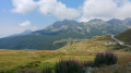 Alpe de Tellinod