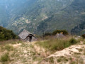 Alpe Pii