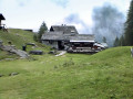 Alpe Pile