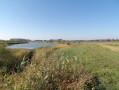 Ab Bleckede durch das Biosphärenreservat Niedersächsische Elbtalaue