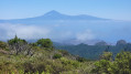 Alto de Garajonay Alto de Garajonay