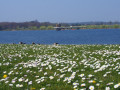 Alton Water Reservoir