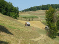 Alunisul, le sentier qui monte sur la colline en direction de Poieni