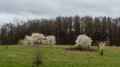 Am Laubfroschausblick