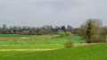 Am Wegesrand