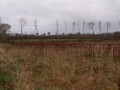 Ambiance d'hiver sur la campagne