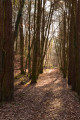 Boucle dans le massif forestier de Réno Valdieu Boucle dans le massif forestier de Réno Valdieu