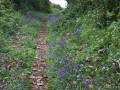 Ambiance de printemps