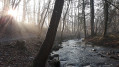 Ambiance hivernale sur l'Yzeron