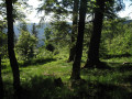 Ambiance vosgienne sur le sentier Ambiance vosgienne sur le sentier