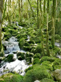 Amont des cascades