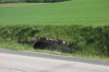 ancien aqueduc romain ancien aqueduc romain