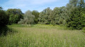 Ancien bassin